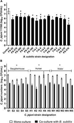 Bacillus subtilis PS-216 Spores Supplemented in Broiler Chicken Drinking Water Reduce Campylobacter jejuni Colonization and Increases Weight Gain